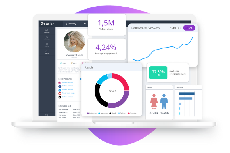 Influencer Audience Analysis Stellar tool