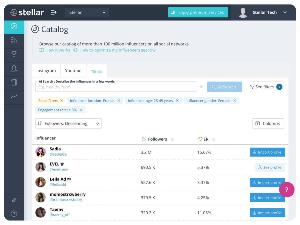 KPop Demon Hunters search on the Stellar Discovery tool